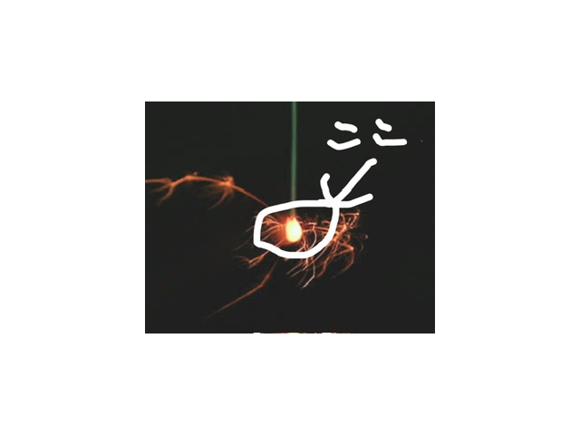 ☆お題 ・夏休みの思い出ありますか？☆