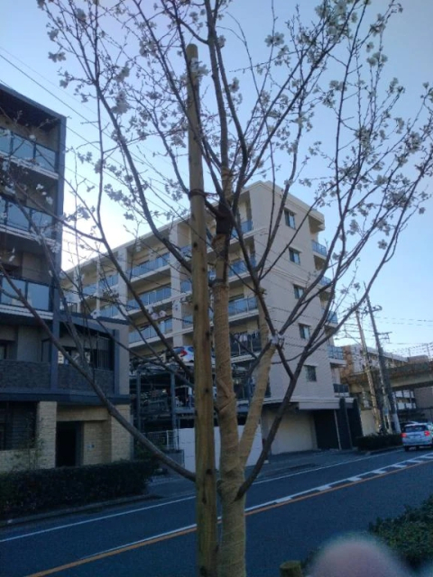14時～出勤します⏰