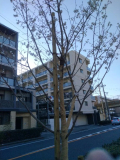 14時～出勤します⏰