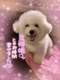 来週のスケジュール😌💕
