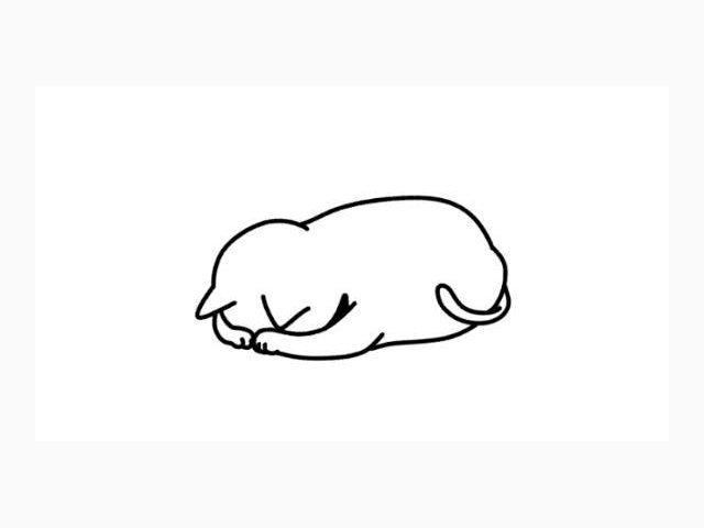 お知らせ📢⋆