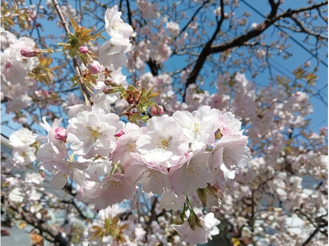 おはようございます🌞
