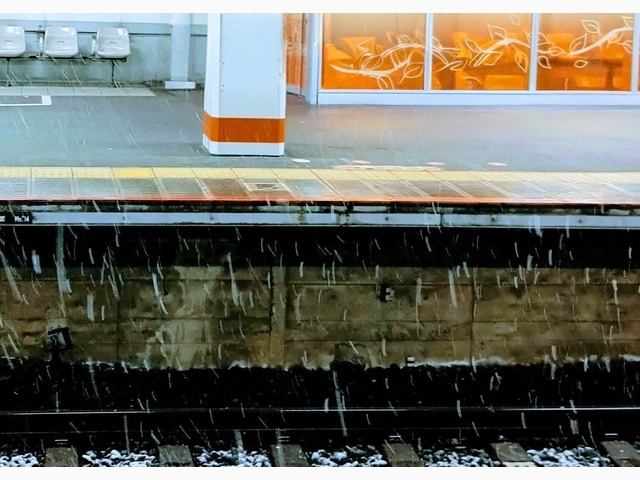今日はありがとうございました