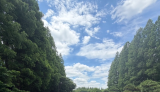 癒しの休日🤍