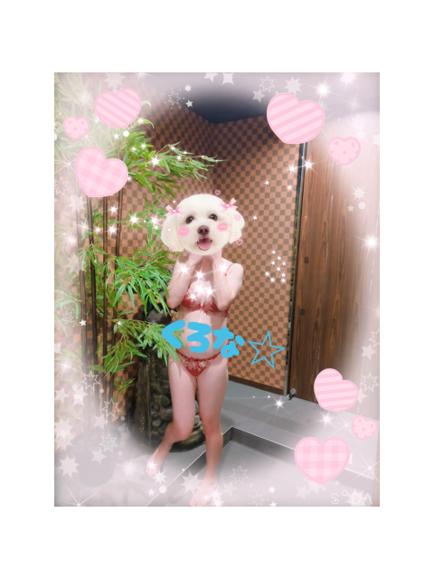 3月🌸
