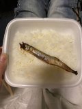 ごはん
