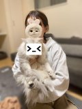 本指名様のお家のニャン