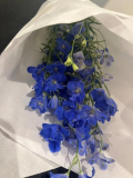 🌸はじめてのお花、はじめてのドキドキ…🌸