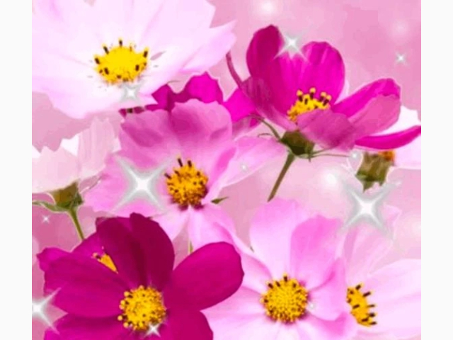 ありがとうございました