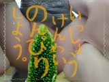 ゴーヤ