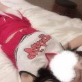 お礼です♡