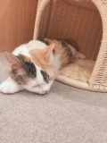 出勤します!