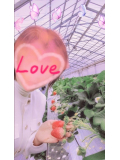 🍓あざとく甘く、熟れたいちご？
