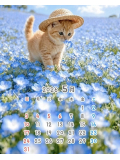 GW中の予定明日2(土)は前日予約にて