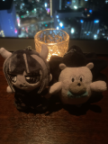 ライブおデート‎🤍