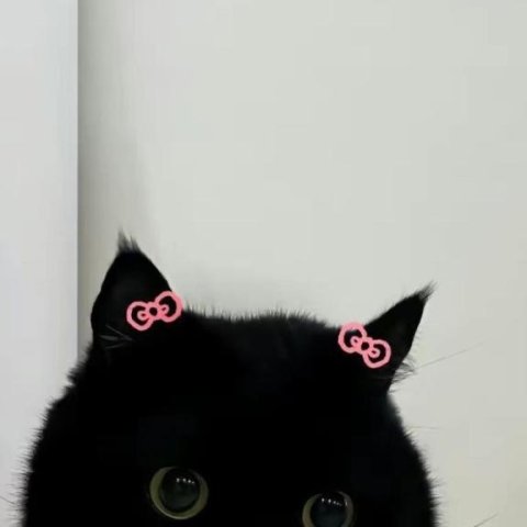 本日