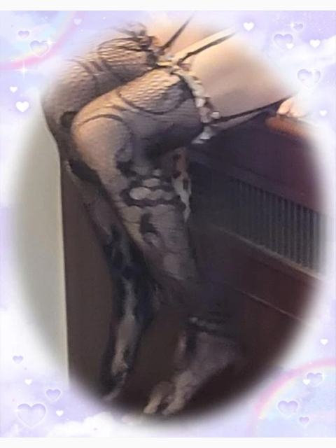 おはようございます🍀