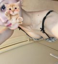 ありゃっ♡