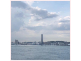 出勤しています。