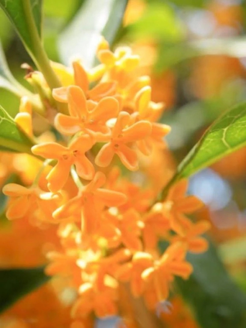 おはようございます✨✨