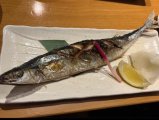 おさかなさん