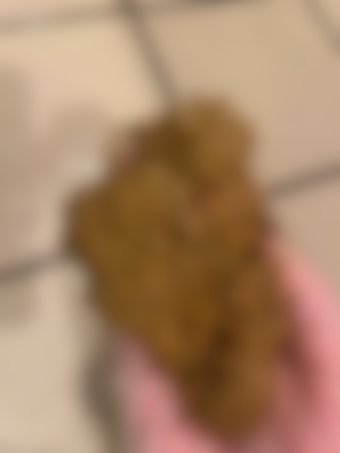 両乳首強くいじられ、大量飲尿、便器口にうんこ出されたい