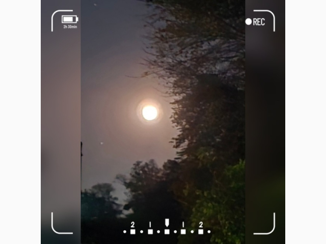 おはようございます