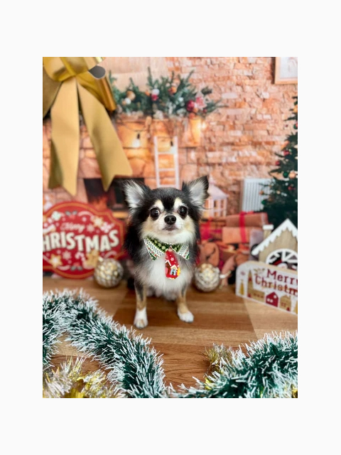 有難うの言葉💫今日も有難う御座いました