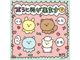 たいきん❕