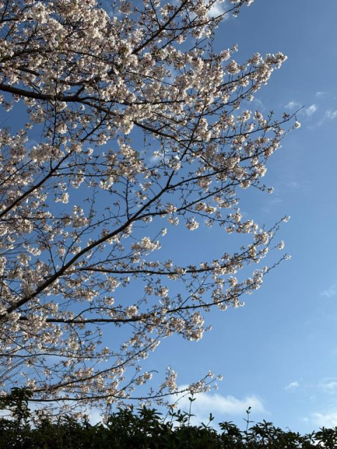 新しい