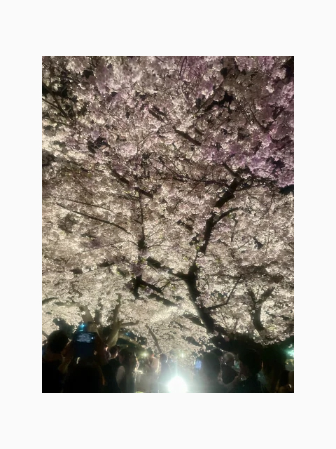 こんにちは。しおんです。明日🥰