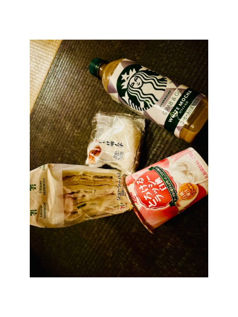 帰りやんす🐸