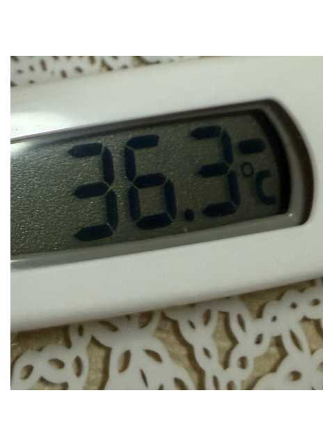 準備前のまったり中✧︎