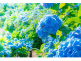 有り難うございました💓