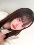 犬チワワ