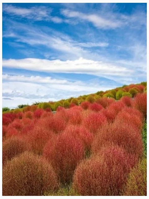 おはようございます☁️