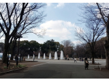 おはようございます🌞