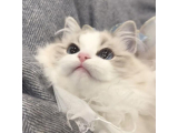 13:35から空いてます♡