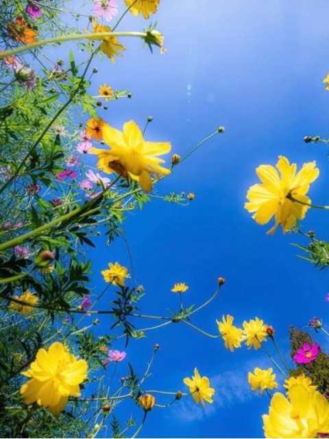 昨日はありがとうございました✨✨