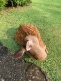 お久しぶりです☺️✋