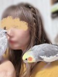 ボクは何を思えばいいんだろう