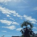 昼暖かく夜寒い🌴