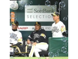 プロ野球、結果⚾️