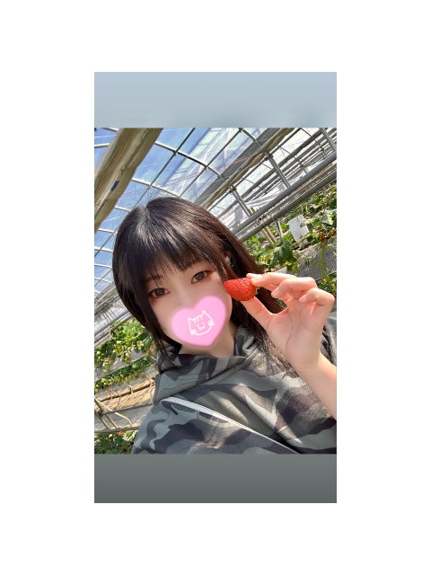 行きたいなぁ