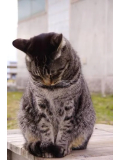 すみません‥🙏