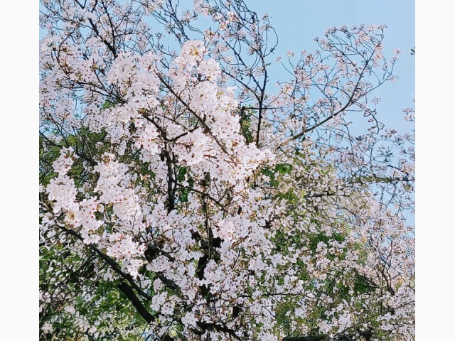 今日はありがとうございました