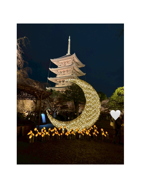 期間限定✨️