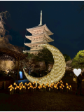 期間限定✨️