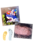 🍄三連休後のお楽しみ