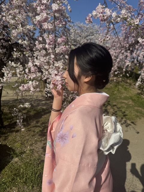 桜の咲く季節🌸